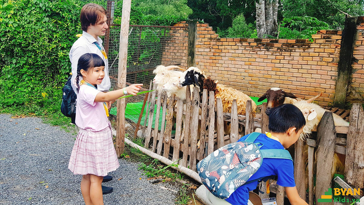 Hoc_Tap_Thuc_Te_Ket_Hop_Trai_Nghiem_Thu_Vi_Tai_Byan_Kids_6